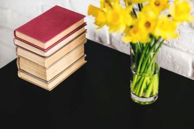 Neat book and daffodils