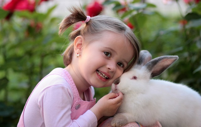 Activities with the kids - Royal Melbourne Show 